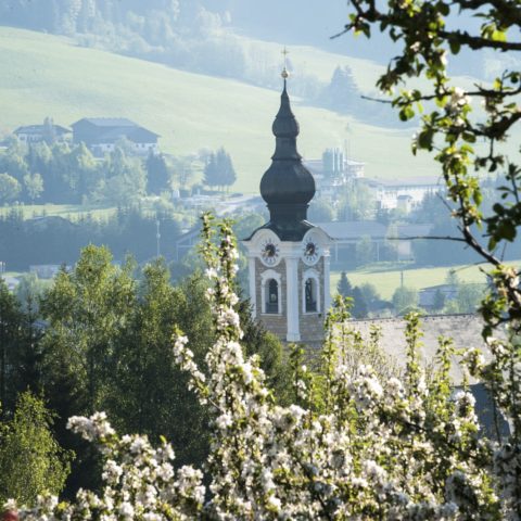 Urlaub in Salzburg Land Altenmarkt Pension Steiner